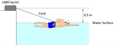 The relationship between maximal lactate accumulation rate and sprint performance parameters in male competitive swimmers